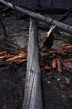 Yellowstone Photography Workshop
