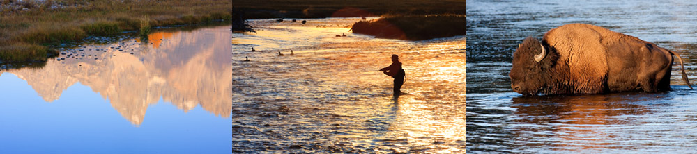 Yellowstone Photography Workshop